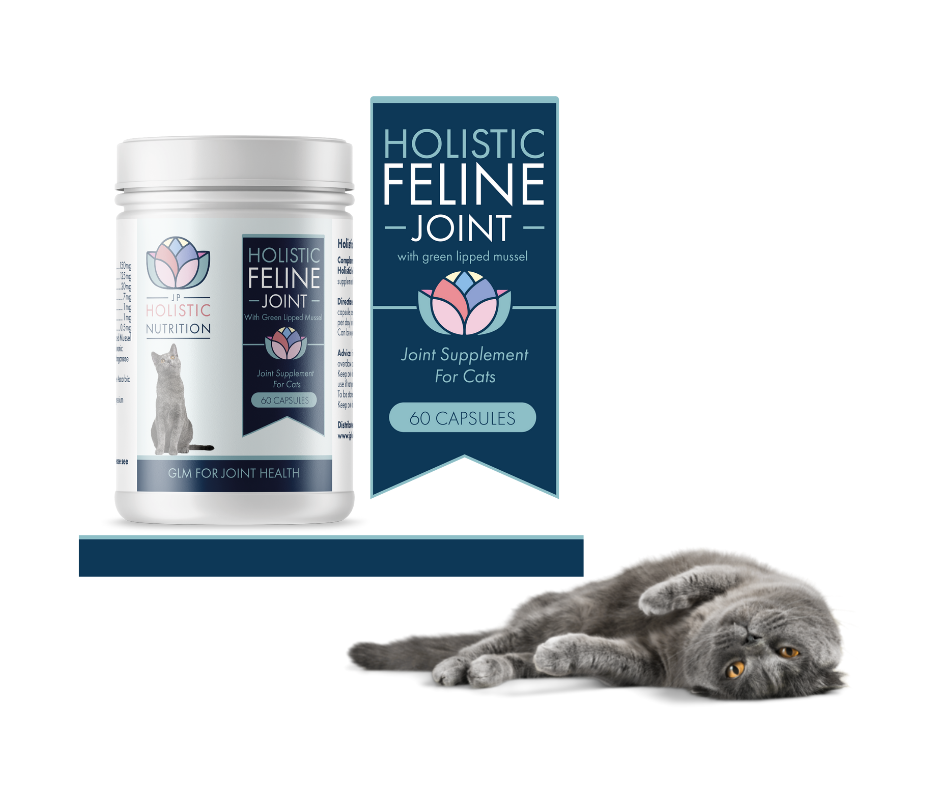 Best supplements best sale for cats