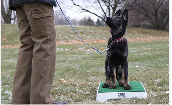 Dog training touch pad best sale