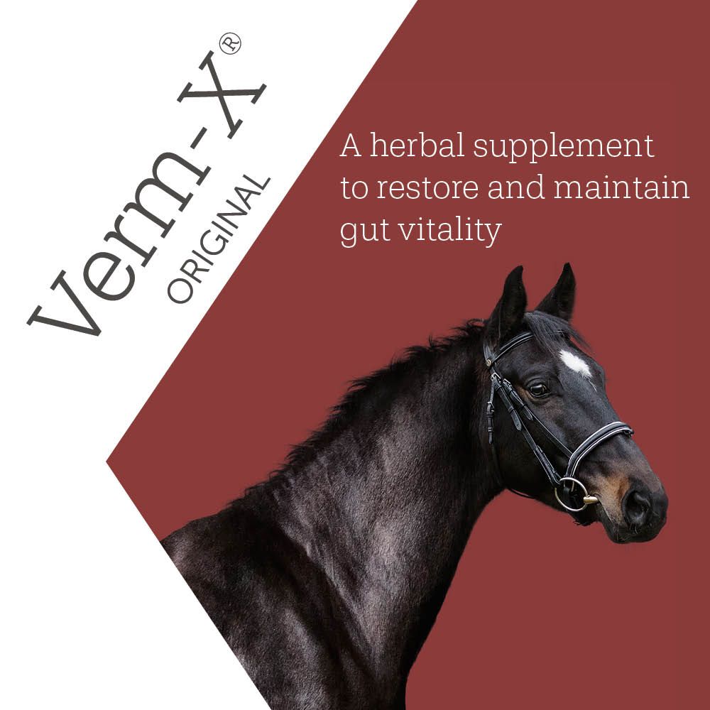 Verm-X Equine intestinal supplemnets