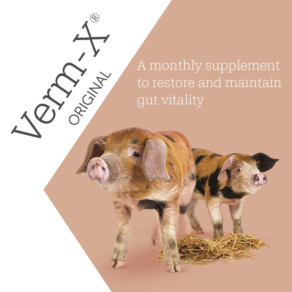 Verm-X natural supplements for pigs