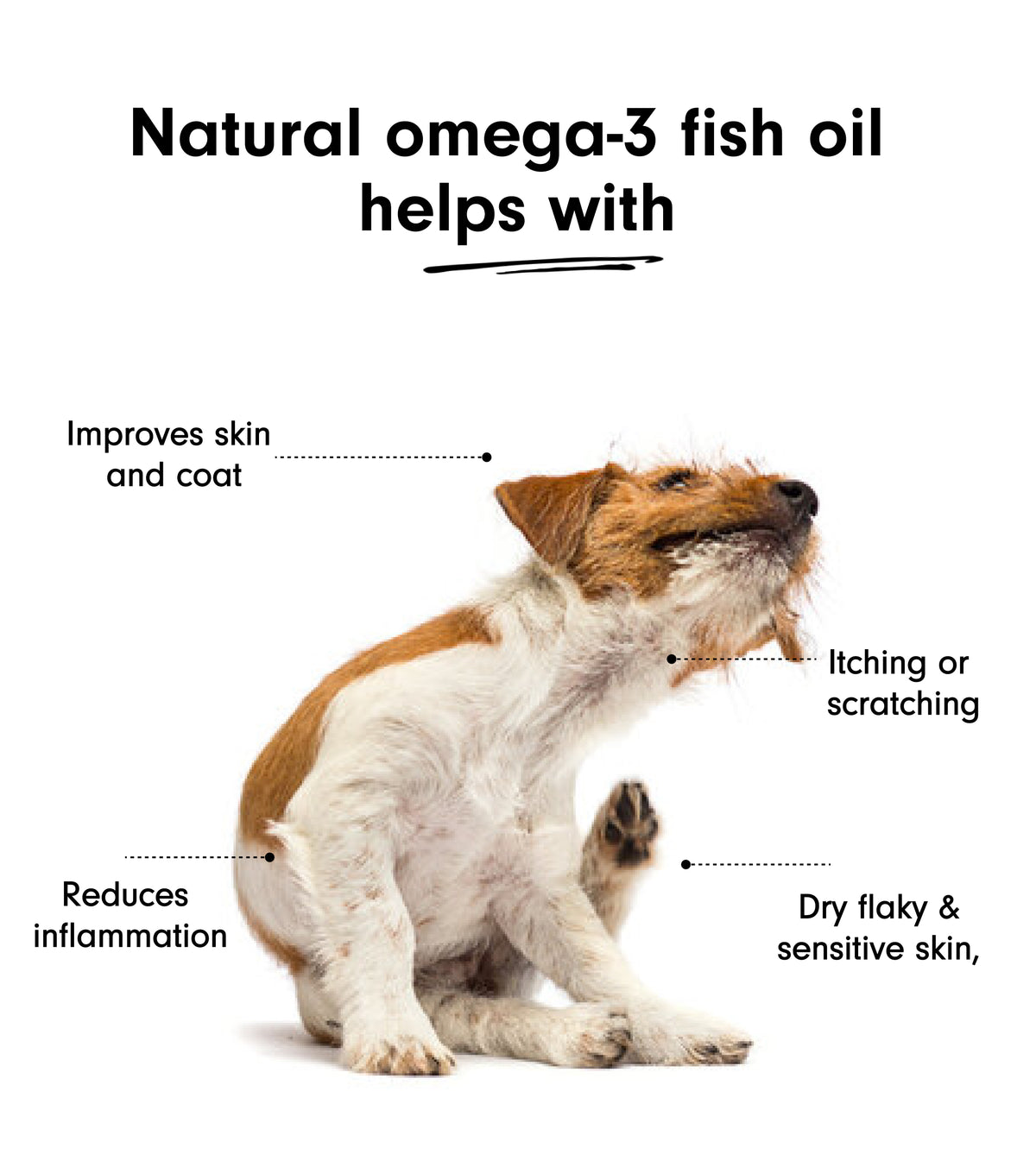 Omega 3 for dogs with itchy skin best sale