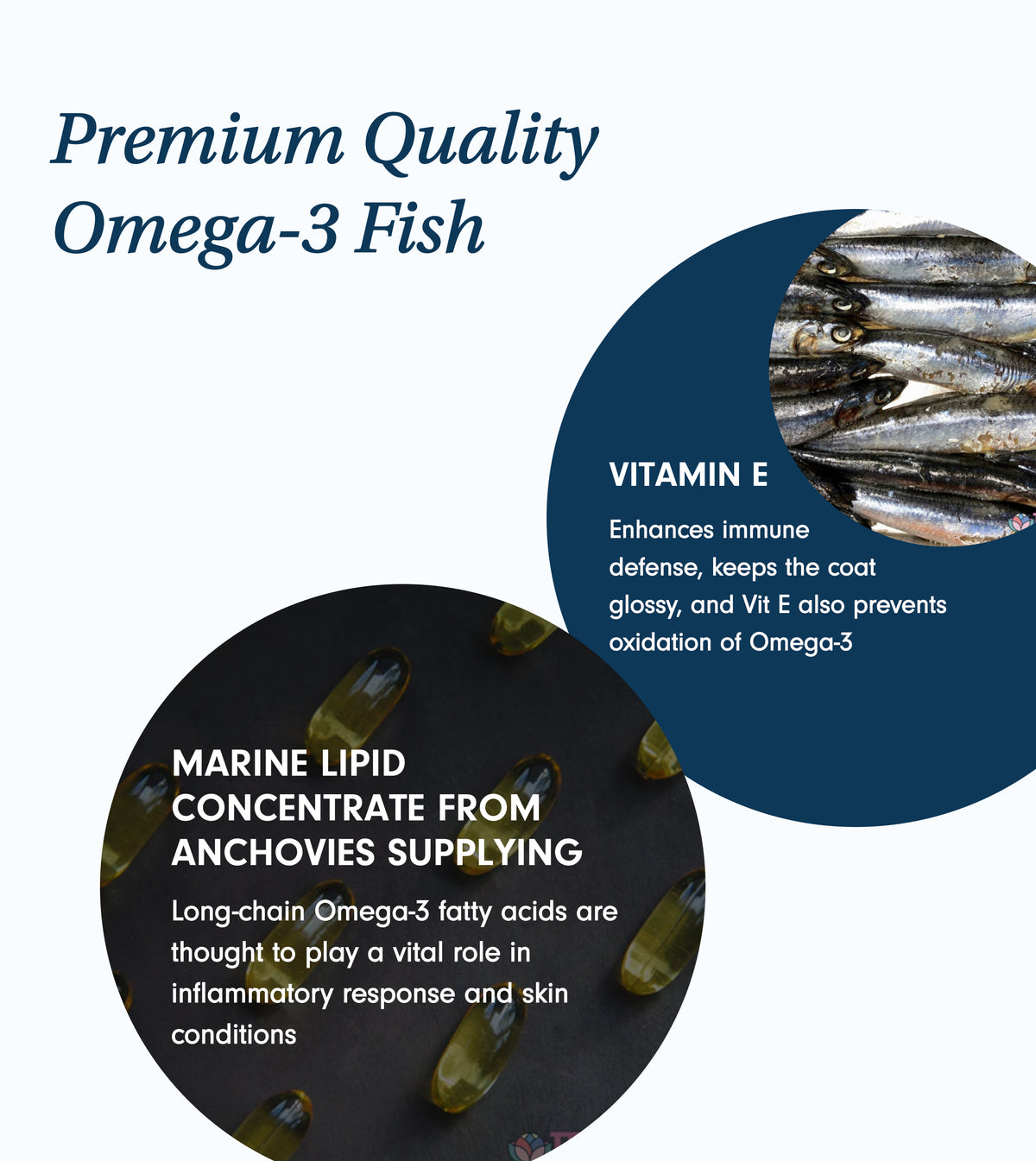 Omega 3 Fish Oil Supplements for Dogs JP s Natural Pet Supplements