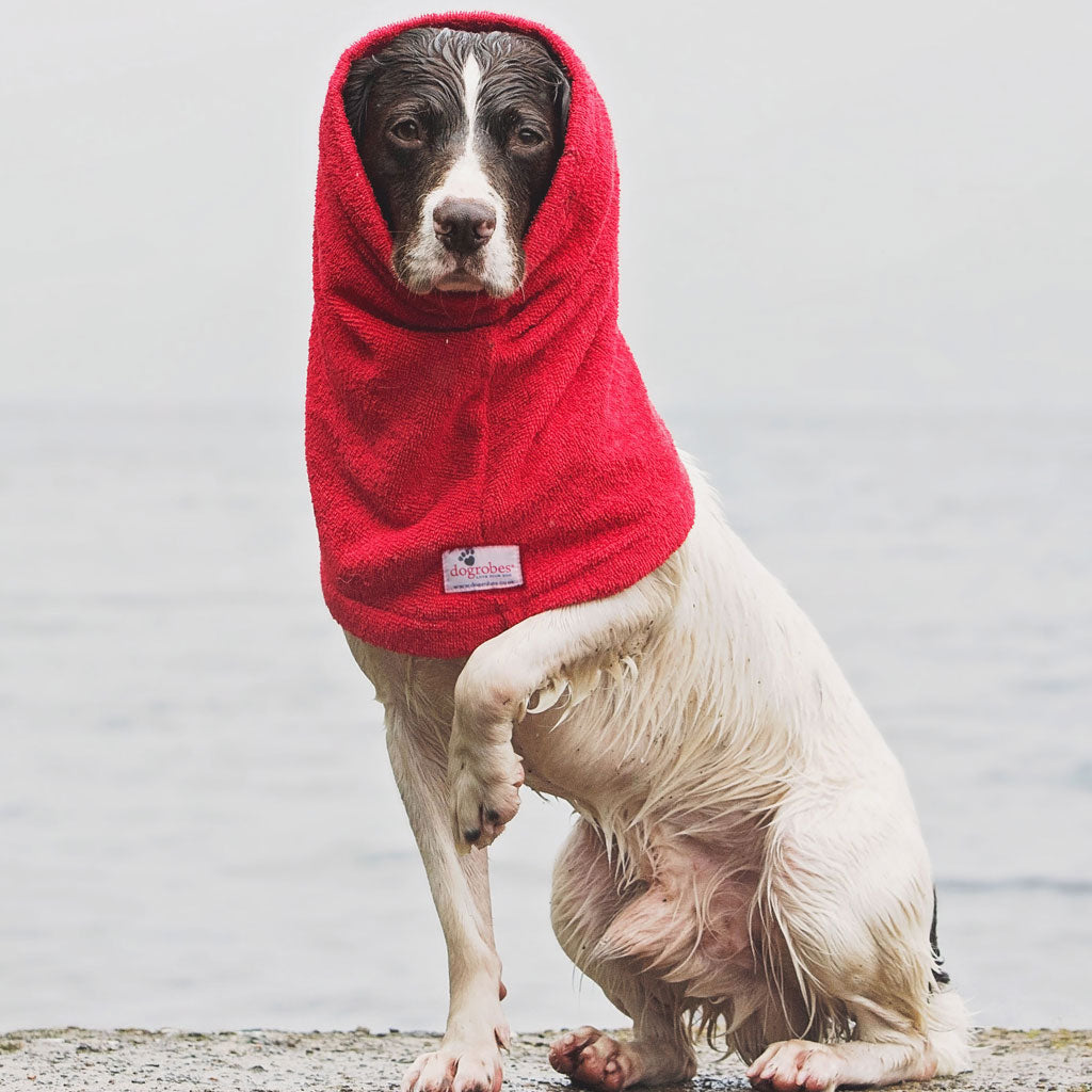 Dogrobe snoods are trusted and loved by dogs’ owners and their pets as they are ideal for drying your dog's head, neck and ears. Dog snood in red.